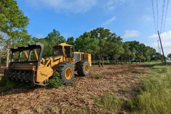 Top 5 Land Clearing & Forestry Service Companies in North Georgia for 2025
